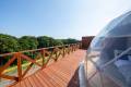 beppu13